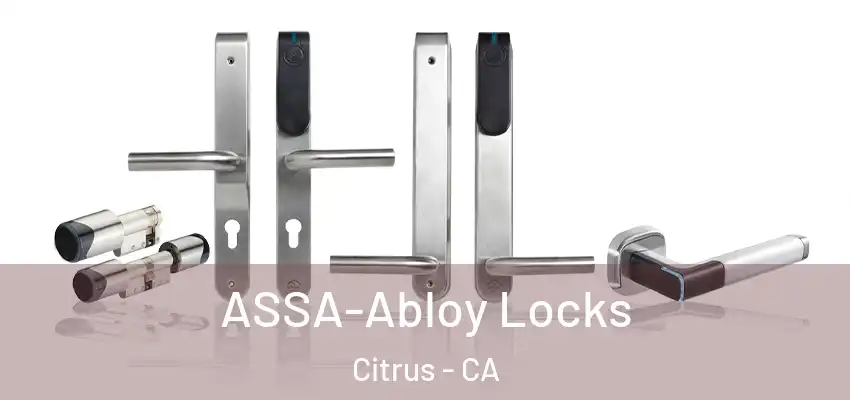 ASSA-Abloy Locks Citrus - CA