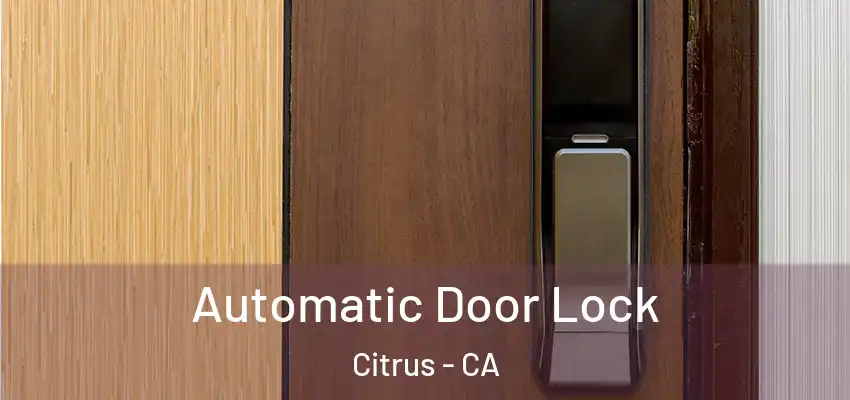  Automatic Door Lock Citrus - CA