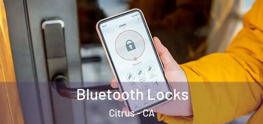  Bluetooth Locks Citrus - CA
