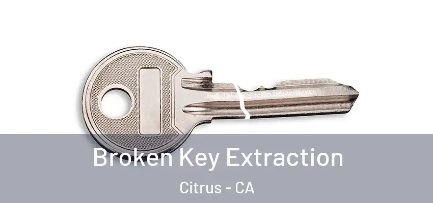 Broken Key Extraction Citrus - CA