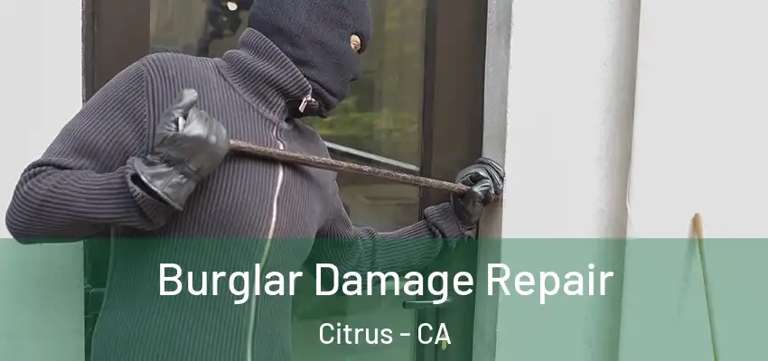 Burglar Damage Repair Citrus - CA