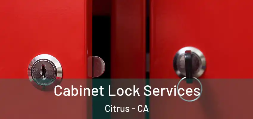  Cabinet Lock Services Citrus - CA