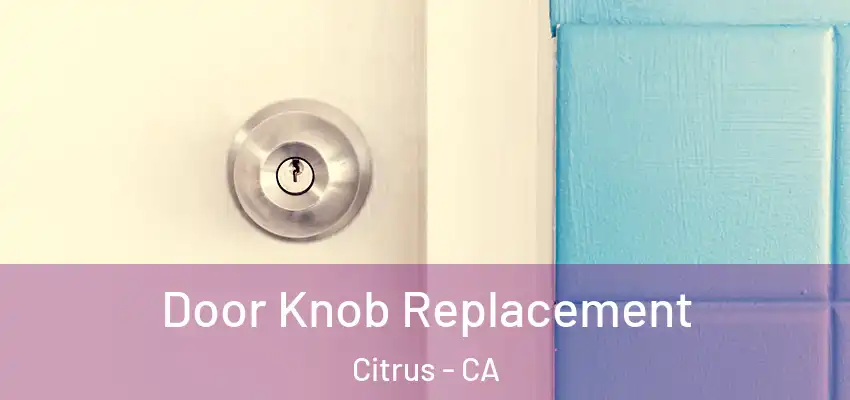 Door Knob Replacement Citrus - CA