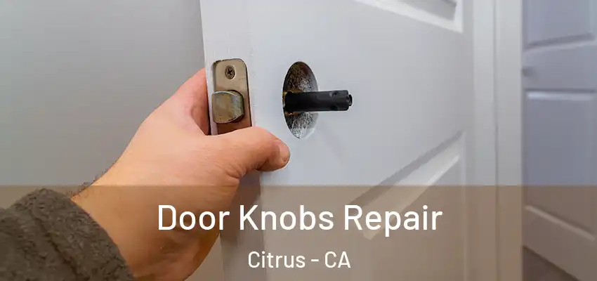 Door Knobs Repair Citrus - CA
