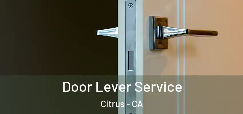  Door Lever Service Citrus - CA