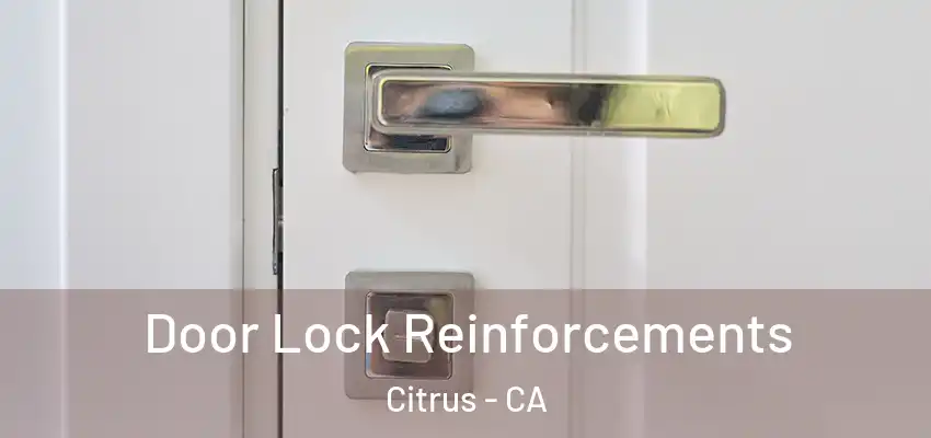  Door Lock Reinforcements Citrus - CA