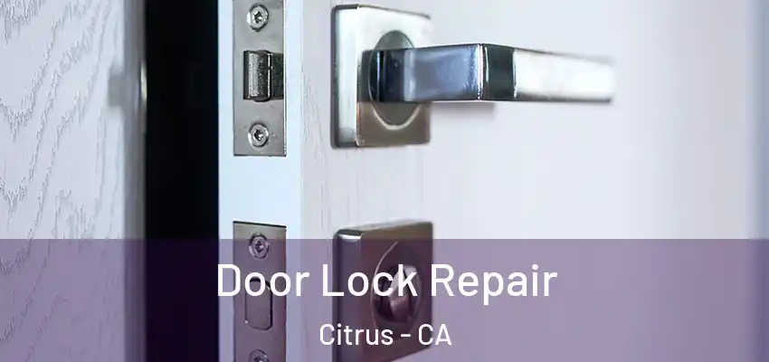 Door Lock Repair Citrus - CA