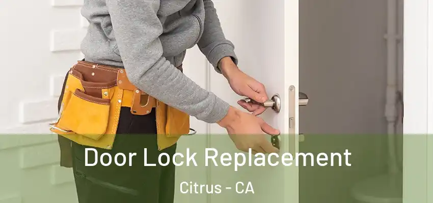  Door Lock Replacement Citrus - CA
