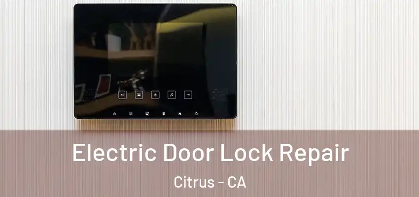 Electric Door Lock Repair Citrus - CA