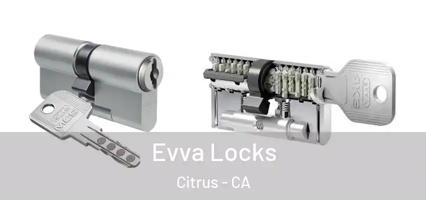  Evva Locks Citrus - CA