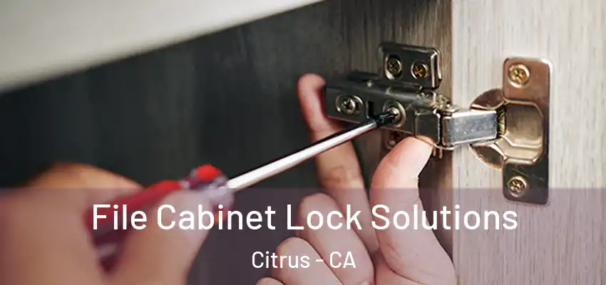 File Cabinet Lock Solutions Citrus - CA