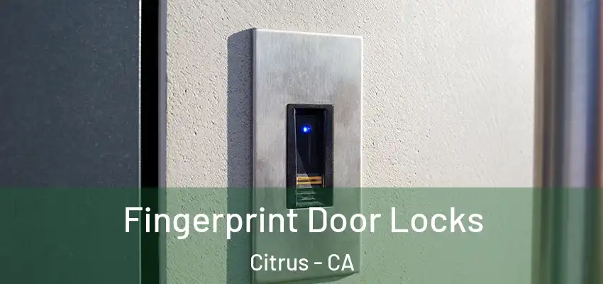 Fingerprint Door Locks Citrus - CA