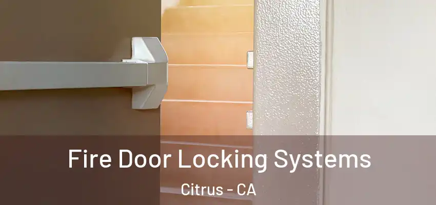 Fire Door Locking Systems Citrus - CA