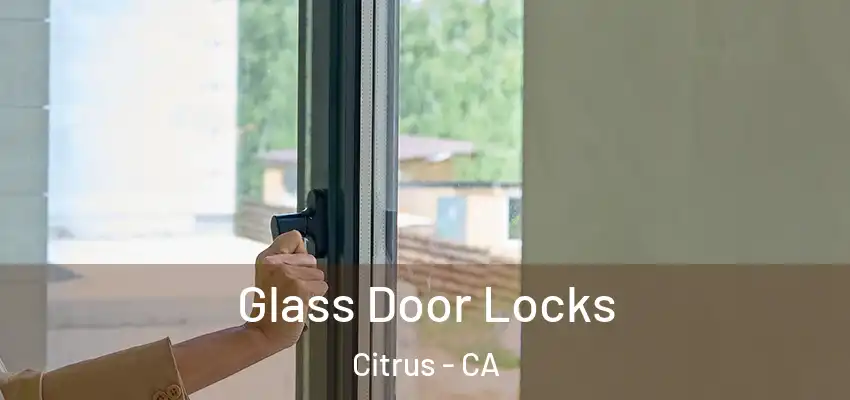Glass Door Locks Citrus - CA