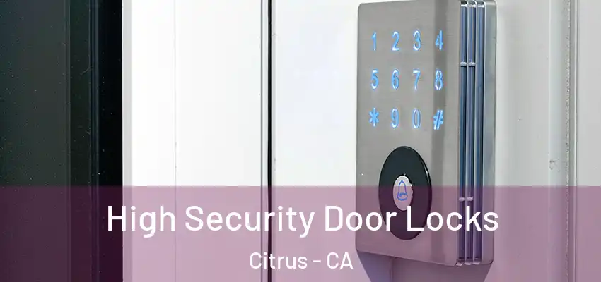 High Security Door Locks Citrus - CA