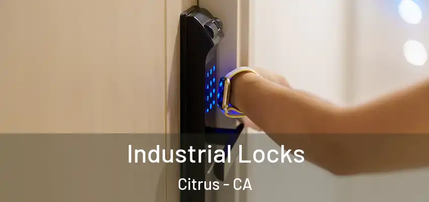  Industrial Locks Citrus - CA