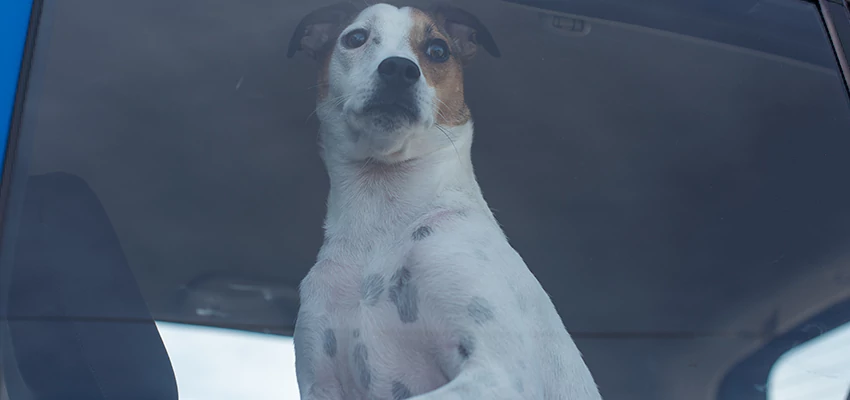 Car Lockout Solutions in Citrus, California