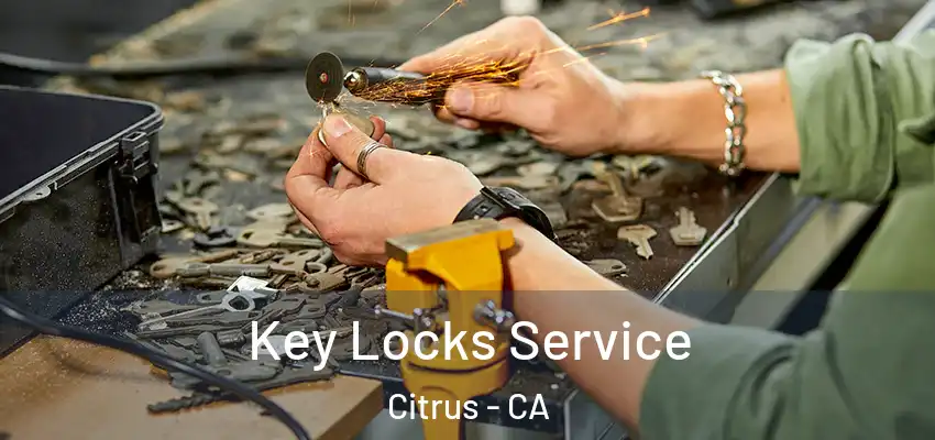  Key Locks Service Citrus - CA
