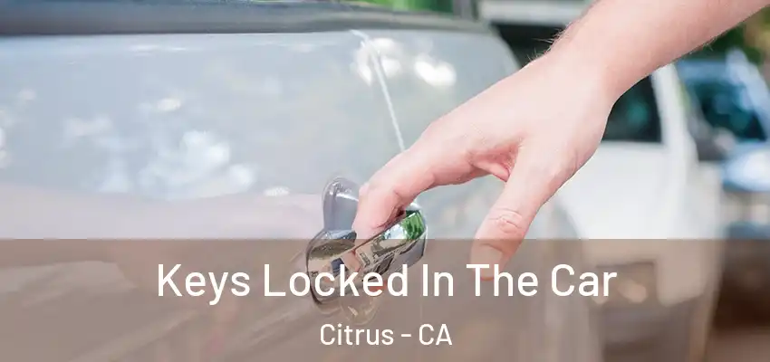 Keys Locked In The Car Citrus - CA