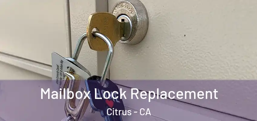  Mailbox Lock Replacement Citrus - CA