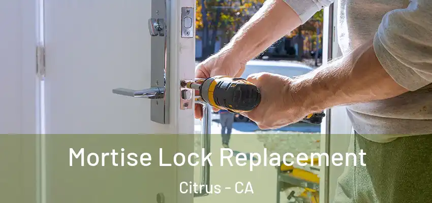 Mortise Lock Replacement Citrus - CA