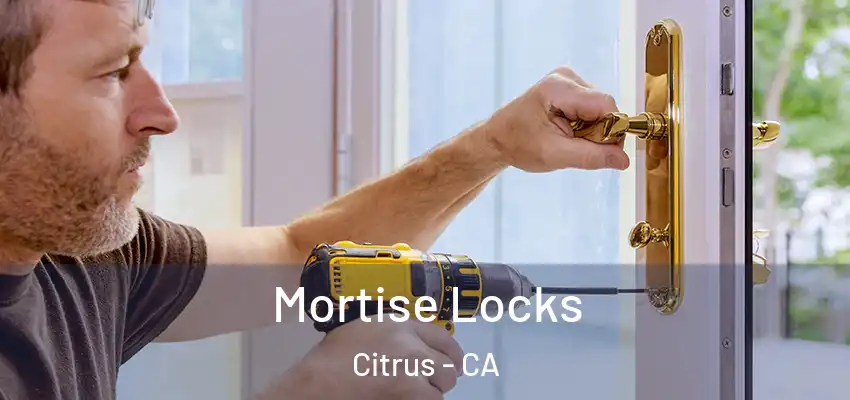 Mortise Locks Citrus - CA