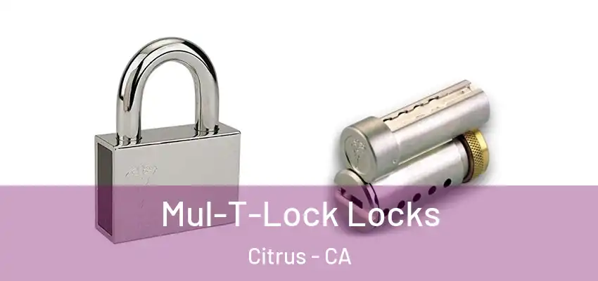Mul-T-Lock Locks Citrus - CA