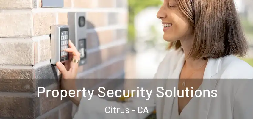 Property Security Solutions Citrus - CA