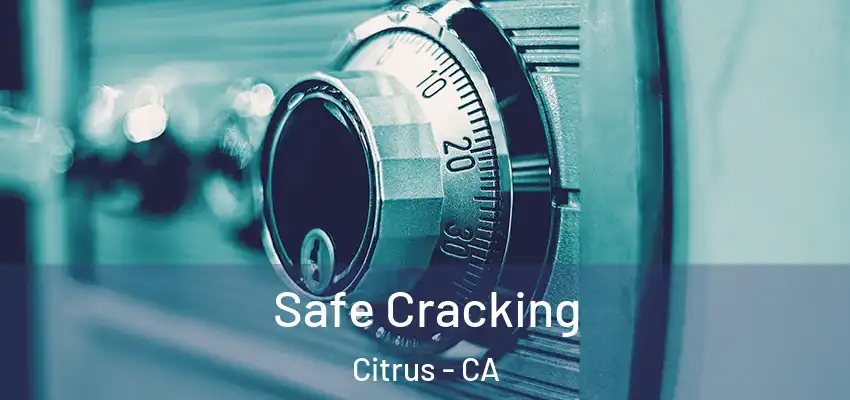  Safe Cracking Citrus - CA