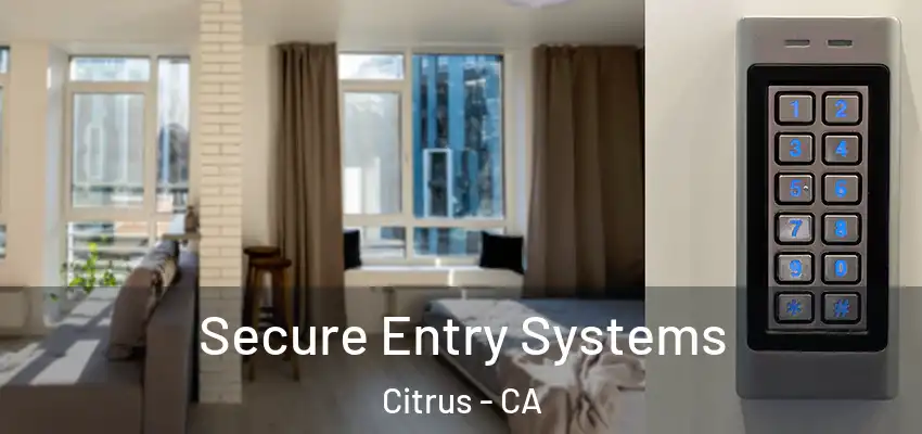 Secure Entry Systems Citrus - CA