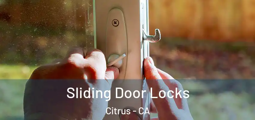 Sliding Door Locks Citrus - CA