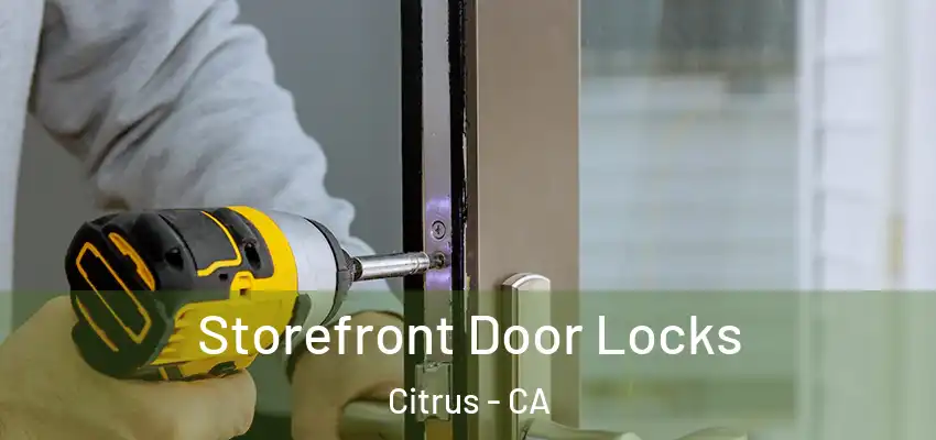  Storefront Door Locks Citrus - CA