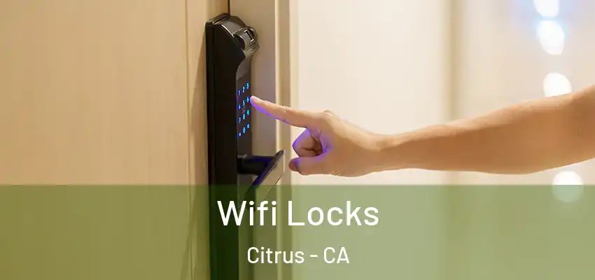  Wifi Locks Citrus - CA