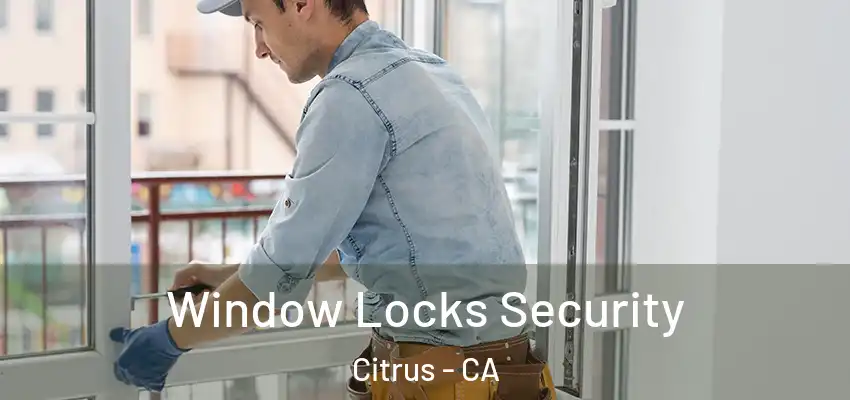  Window Locks Security Citrus - CA