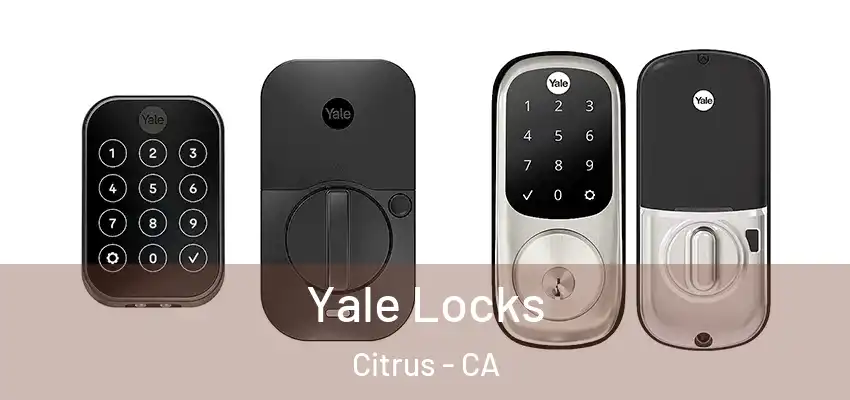 Yale Locks Citrus - CA